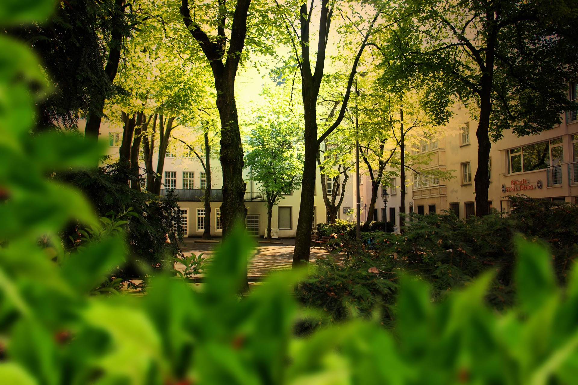 nature-g164e54cf2_1920